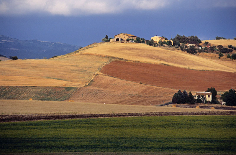 Agricoltura, su riduzione impatti ambientali uno studio dell’Univers...